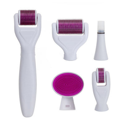 6 en 1 Dermaroller Kit Microneedle Skin Therapy 12/300/720/1200 rodillo de acero inoxidable de Derma de las agujas