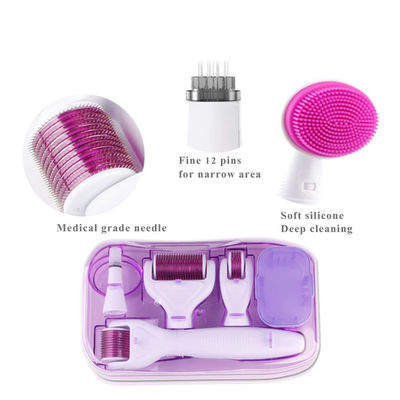 6 en 1 Dermaroller Kit Microneedle Skin Therapy 12/300/720/1200 rodillo de acero inoxidable de Derma de las agujas