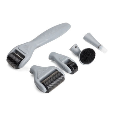 6 en 1 Dermaroller Kit Microneedle Skin Therapy 12/300/720/1200 rodillo de acero inoxidable de Derma de las agujas