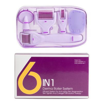 6 en 1 Dermaroller Kit Microneedle Skin Therapy 12/300/720/1200 rodillo de acero inoxidable de Derma de las agujas