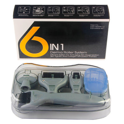 6 en 1 Dermaroller Kit Microneedle Skin Therapy 12/300/720/1200 rodillo de acero inoxidable de Derma de las agujas